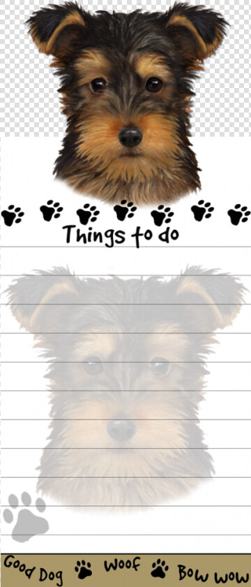 Yorkie Pup   Yorkshire Terrier  HD Png DownloadTransparent PNG