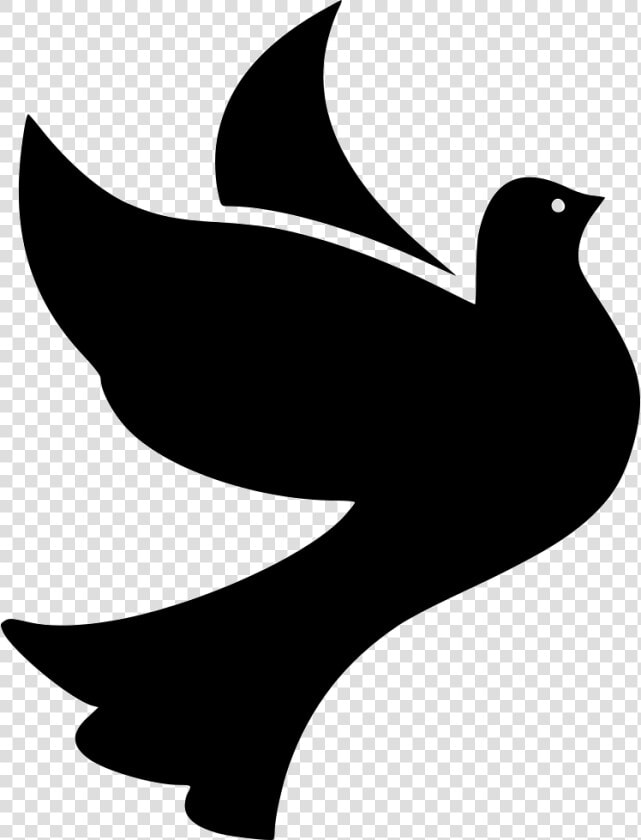 Bird Birds Dove Doves Flight Fly Flying Peace  HD Png DownloadTransparent PNG