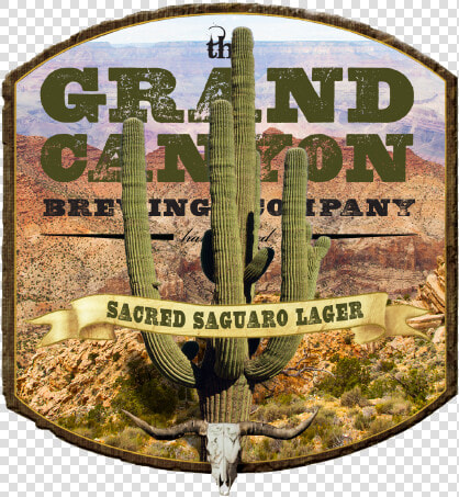 Grand Canyon Sacred Saguaro   Horseshoe Bend  HD Png DownloadTransparent PNG