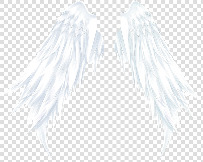  wings  angelwings  angel  ftestickers   Angel  HD Png DownloadTransparent PNG