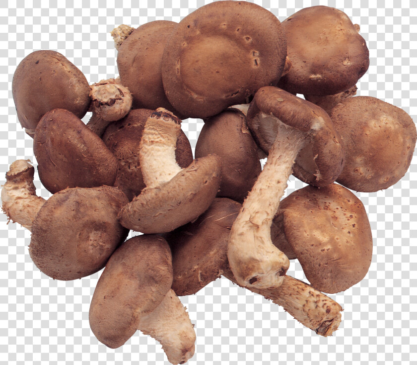 Mushrooms Png Image   Mushrooms Transparent Background Food  Png DownloadTransparent PNG