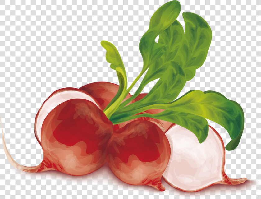 Vegetable Organic Food Vegetarian   Ilustração Cesto De Legumes  HD Png DownloadTransparent PNG