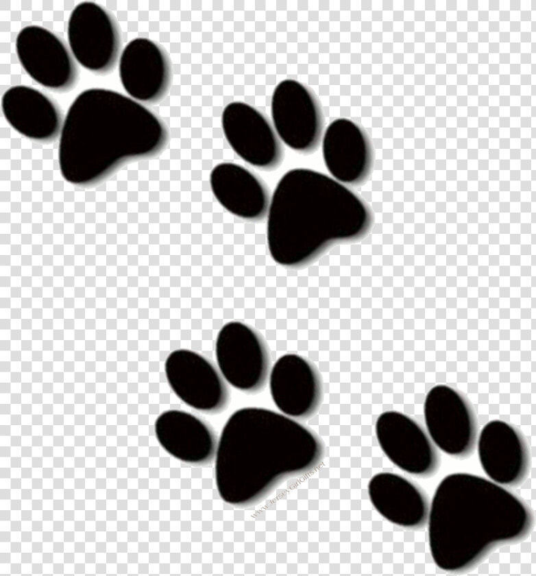 Lion Paw Print Clipart Kid   Transparent Paw Print Clip Art  HD Png DownloadTransparent PNG