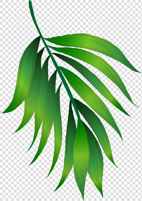 Simple Green Leaves Png Download   Simple Green Leaf Clipart With Transparent Background  Png DownloadTransparent PNG