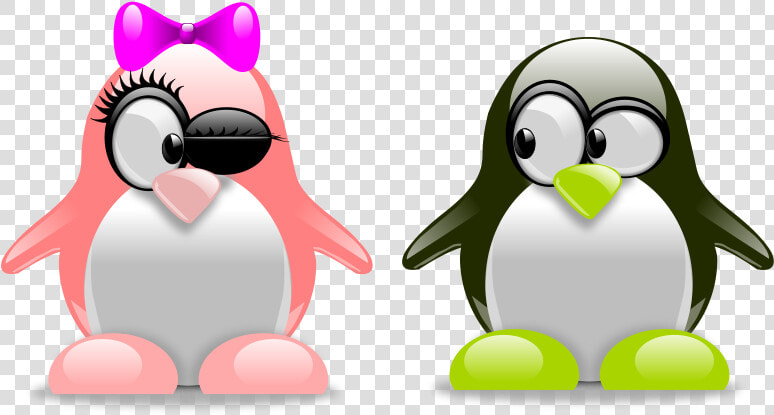 Tux In Love   Tux Penguins  HD Png DownloadTransparent PNG