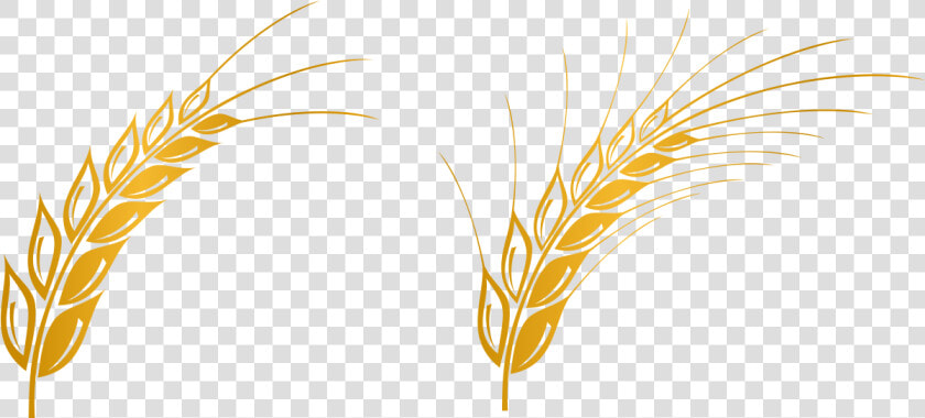 Euclidean Vector Gratis Computer File   Transparent Background Wheat Clipart  HD Png DownloadTransparent PNG