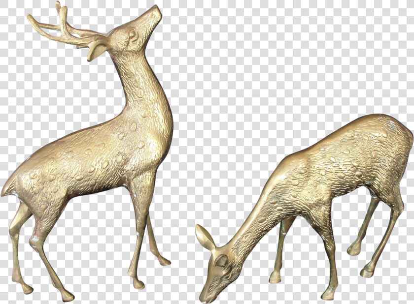 Clip Art Decorative Deer   White tailed Deer  HD Png DownloadTransparent PNG