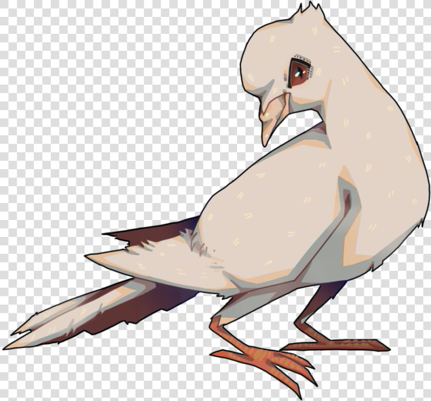 Dove Boy By Slugg o   European Herring Gull  HD Png DownloadTransparent PNG