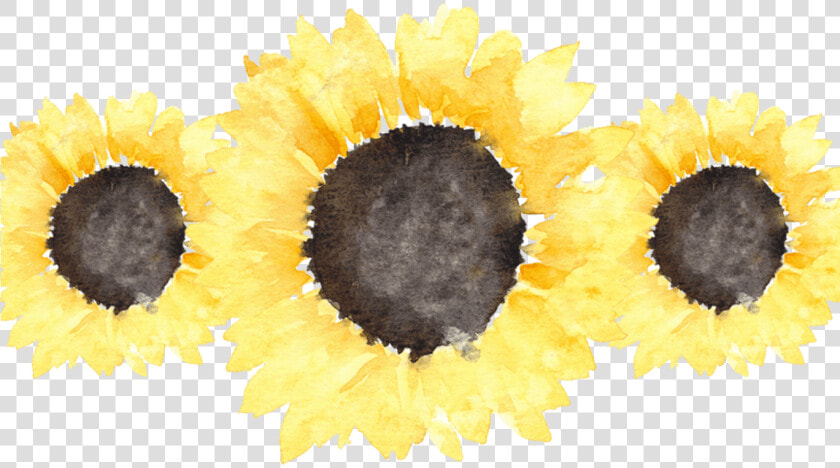 Sunflowers Transparent Tumblr For Free Download On   Sunflower Tumblr Transparent  HD Png DownloadTransparent PNG