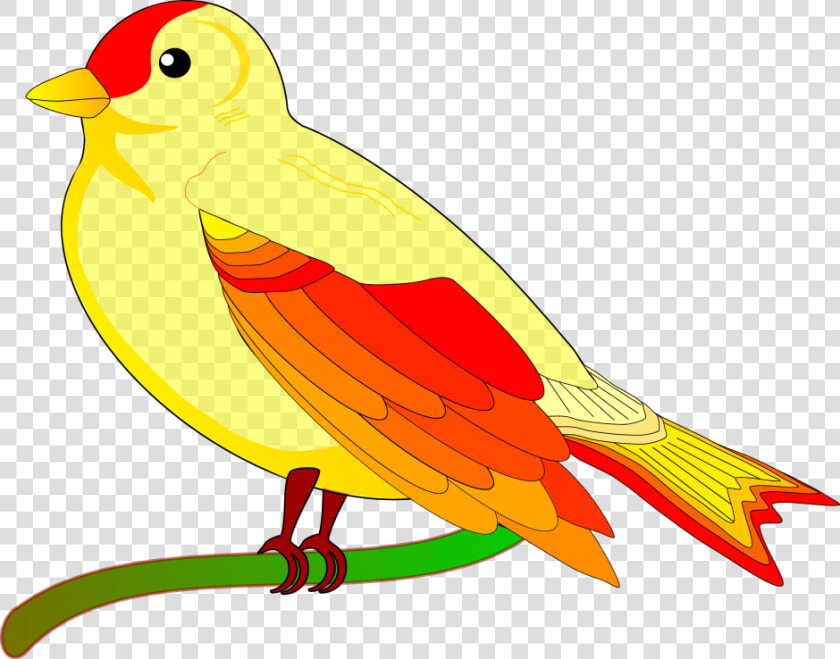 Yellow Bird Clipart Png   Animated Pictures Of Bird  Transparent PngTransparent PNG