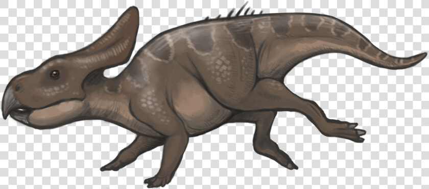 Protoceratops Reconstruction   Protoceratops Facts For Kids  HD Png DownloadTransparent PNG