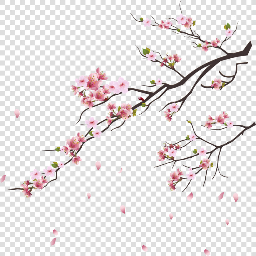 Pink Blossoms Tokyo Blossom Cherry Tsukasa Branch Clipart   Cherry Blossom Branch Png  Transparent PngTransparent PNG