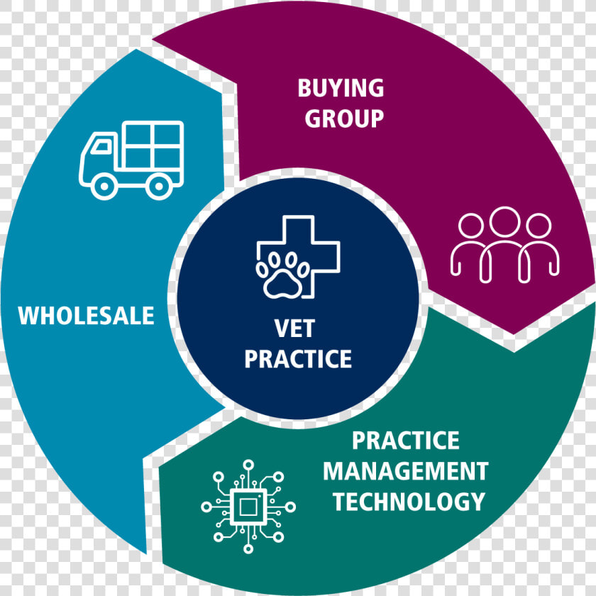 Coloured Integrated End To End Solution Graphic   Patient Digital Ecosystem  HD Png DownloadTransparent PNG