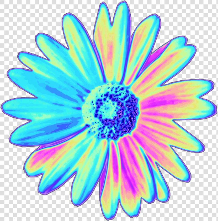 Top 10 Holographic Flowers These Stickers And So Much   Png Stickers Picsart Png  Transparent PngTransparent PNG