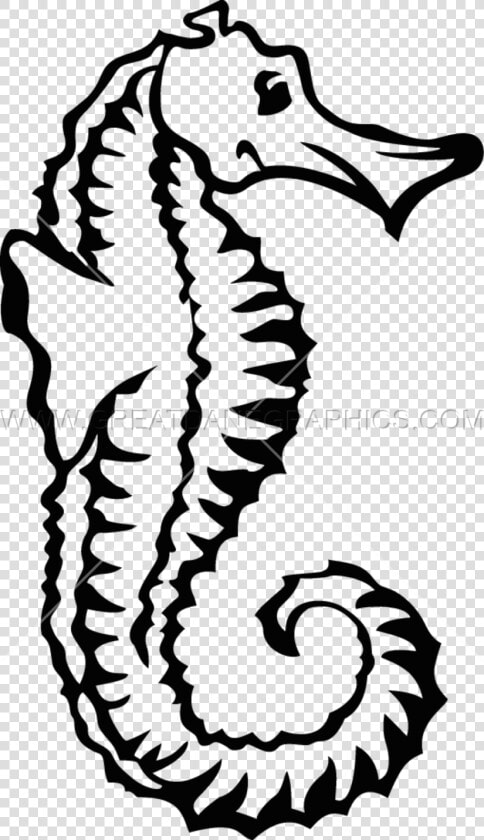 Transparent Seahorse Clipart   Black And White Pictures Of Sea Horse  HD Png DownloadTransparent PNG