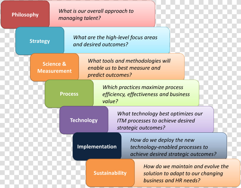 Organizational Dynamics Planning Essay Need Essay Sample   Talent Management Process Steps  HD Png DownloadTransparent PNG