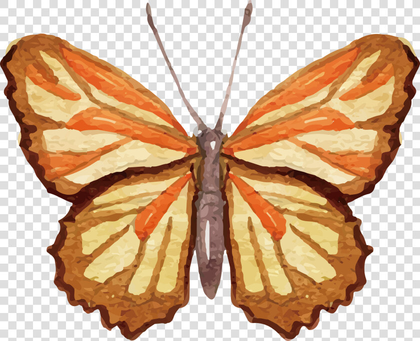 Ai Vector Watercolour Butterfly   Png Download   Watercolor Painting  Transparent PngTransparent PNG