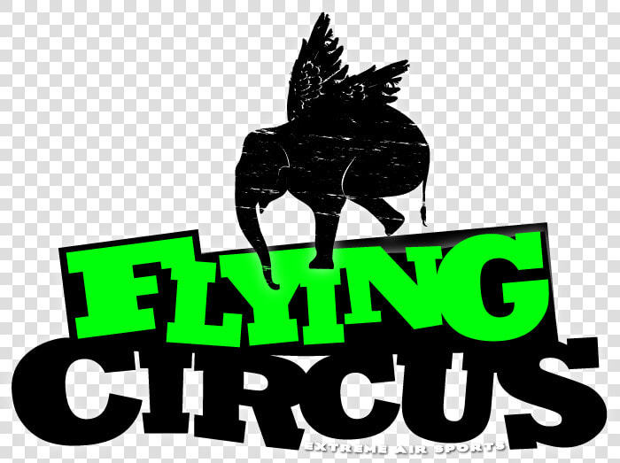 Transparent Welcome Clip Art   Flying Circus Trampoline Logo  HD Png DownloadTransparent PNG