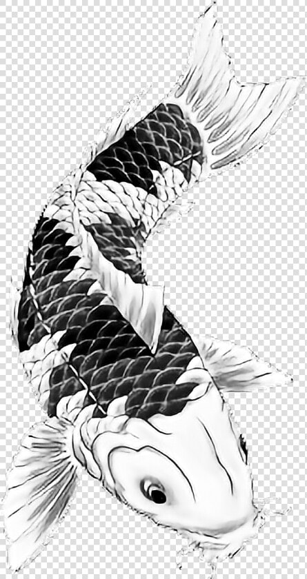  tattoo  irezumi  fish  blackart  yakuza  ninja  backtattoo  HD Png DownloadTransparent PNG