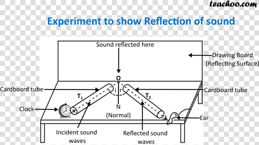 Experiment To Show Reflection Of Sound New   Reflection Of Sound Ncert  HD Png DownloadTransparent PNG