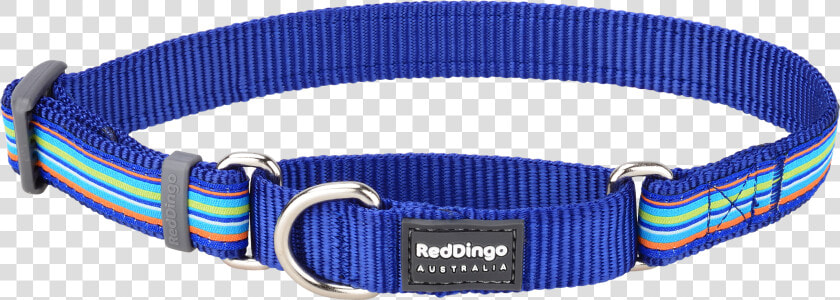 Horizontal Stripes Png   Fang It Red Dingo Martingale  Transparent PngTransparent PNG