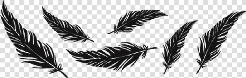  png  overlay  edit  tumblr  plumas  feathers   Feather Tattoo Png  Transparent PngTransparent PNG