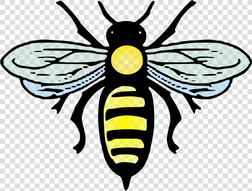 File Abeille Svg Wikimedia   Bee Images Svg Files  HD Png DownloadTransparent PNG