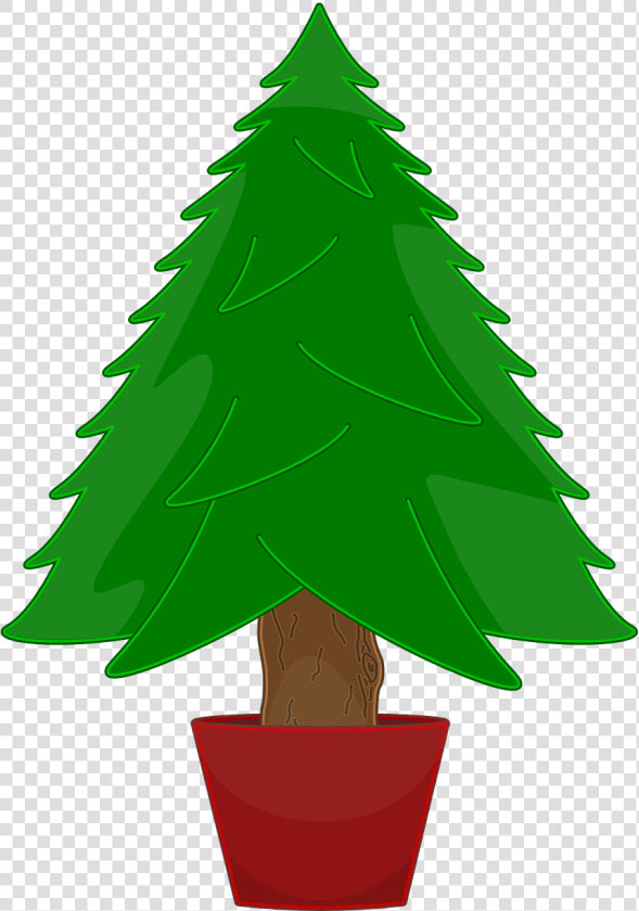 Bare Christmas Tree Clip Art   Christmas Tree Not Decorated  HD Png DownloadTransparent PNG