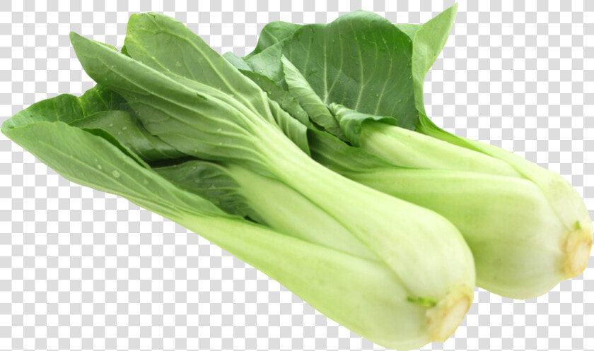 Bok Choy Clipart Yellow Vegetable   Bok Choy Png  Transparent PngTransparent PNG