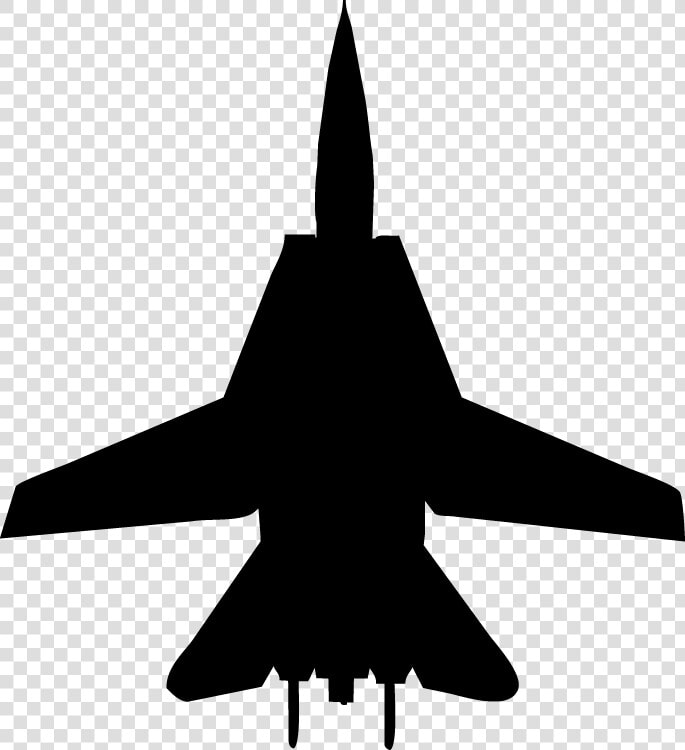 Grumman F 14 Tomcat General Dynamics F 16 Fighting   Ea 18g Growler Silhouette  HD Png DownloadTransparent PNG