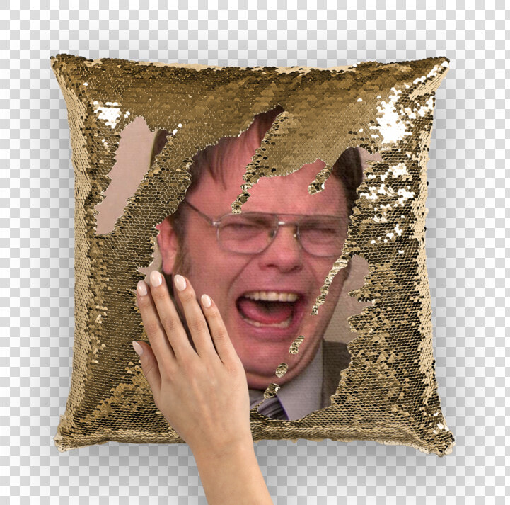 Dwight Schrute Png  Transparent PngTransparent PNG