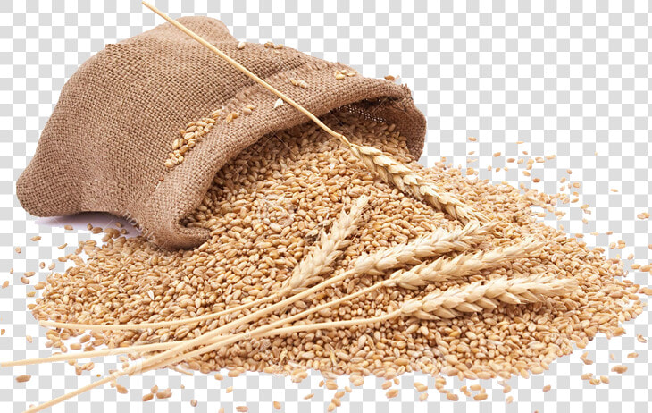 Grain Png Clipart   Grains Png  Transparent PngTransparent PNG