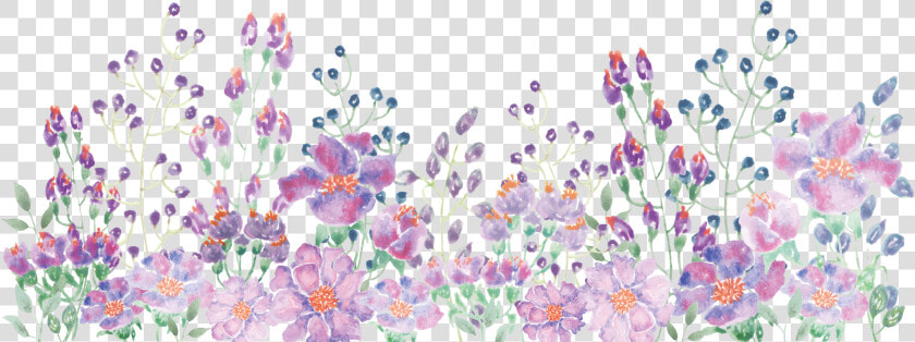 Watercolor Painting Floral Design   Watercolor Flowers Line Png  Transparent PngTransparent PNG