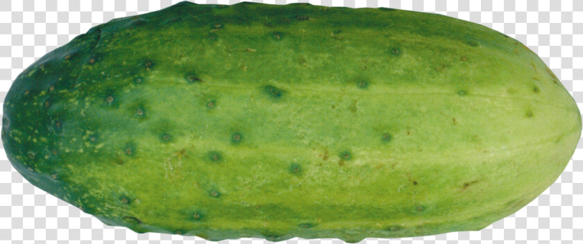 Cucumber Png   Papaya  Transparent PngTransparent PNG