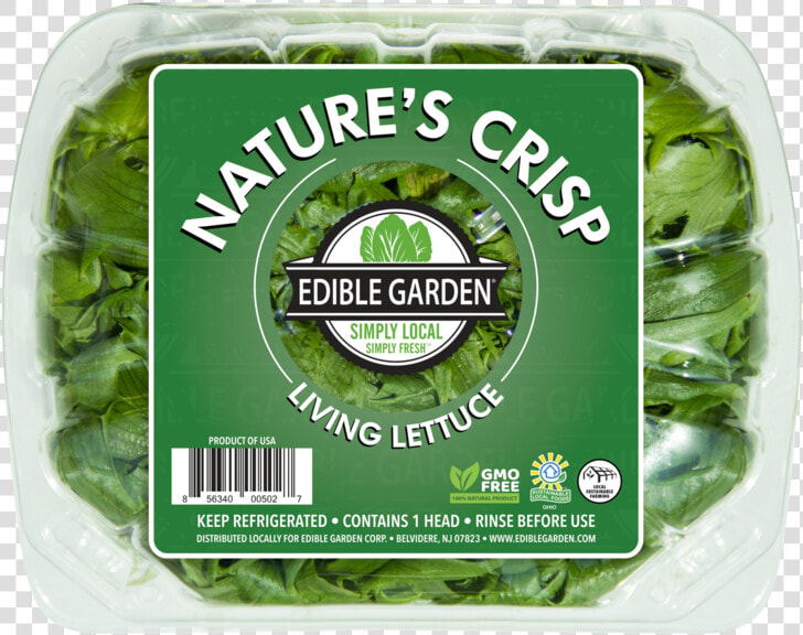 Nature S Crisp Living Lettuce   Spinach  HD Png DownloadTransparent PNG