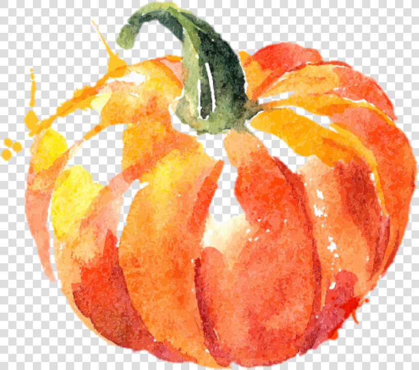 Transparent Pumpkin Png   Watercolor Pumpkin Transparent Background  Png DownloadTransparent PNG