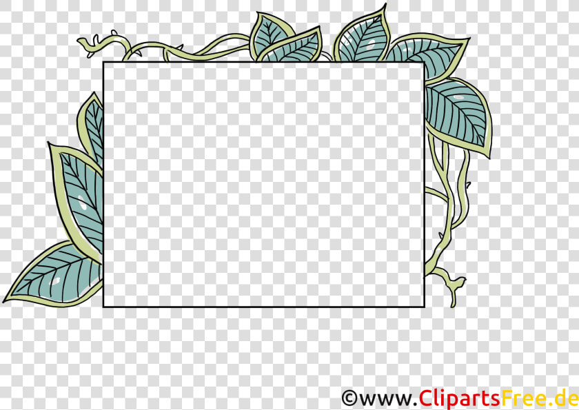 Cliparts Cadres Bordures Gratuits   Bordure Cadre  HD Png DownloadTransparent PNG