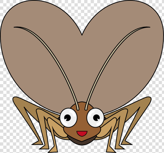 Cricket Insect Free Png Image   Cricket Insect Clipart Transparent  Png DownloadTransparent PNG