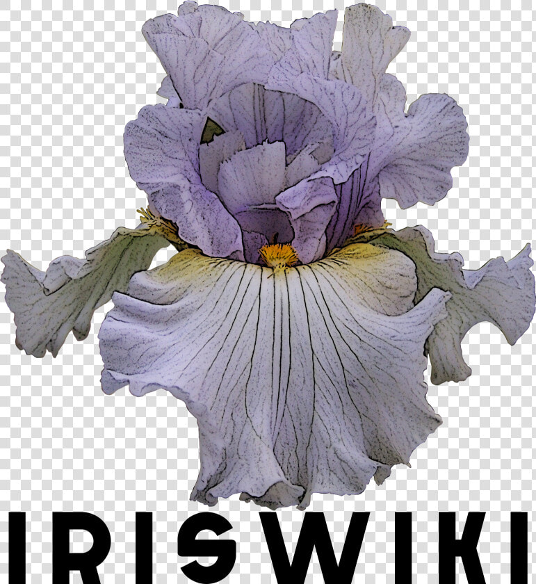 File   Logoiriswiki   Orris Root  HD Png DownloadTransparent PNG