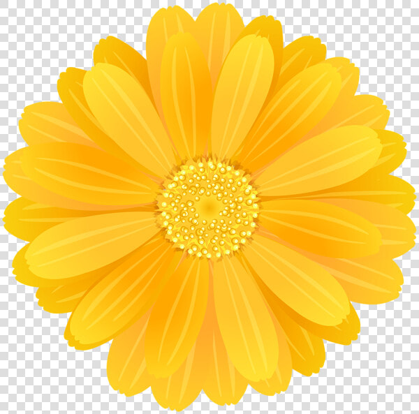 Transparent Yellow Flower Png   Yellow Flower Transparent Background  Png DownloadTransparent PNG