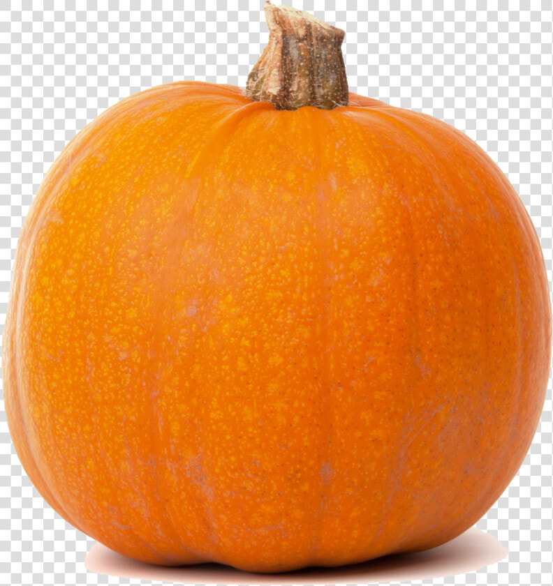 Jack O Lantern Pumpkin Calabaza Butternut Squash Cucurbita   Pumpkin Meaning In Punjabi  HD Png DownloadTransparent PNG