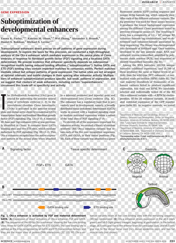 Document  HD Png DownloadTransparent PNG