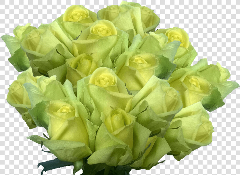 Cheap Light Green Roses Huge Rose Flowers Bouquet Pale  HD Png DownloadTransparent PNG