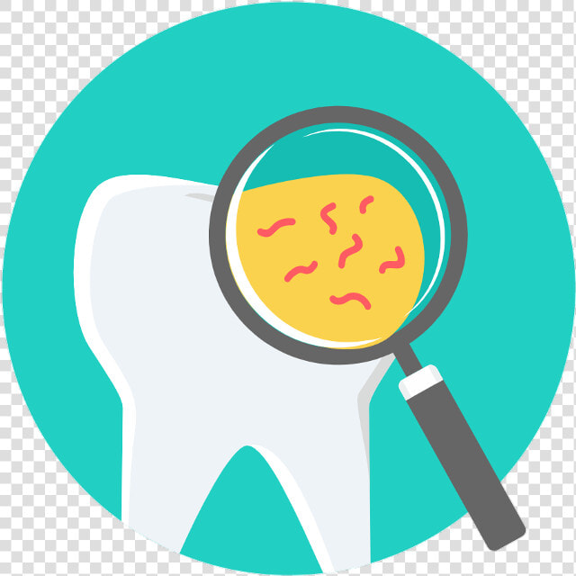 Dentist Tooth   Circle  HD Png DownloadTransparent PNG