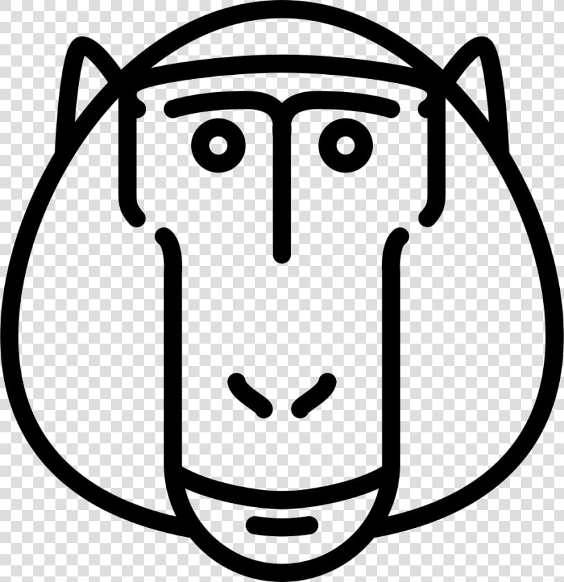 Baboon Head   Baboons  HD Png DownloadTransparent PNG