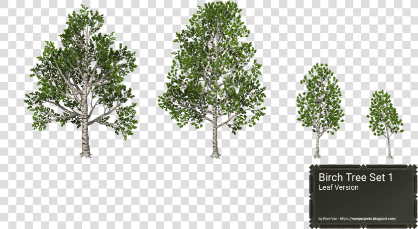  ​img    Birch Tree Rpg Maker  HD Png DownloadTransparent PNG