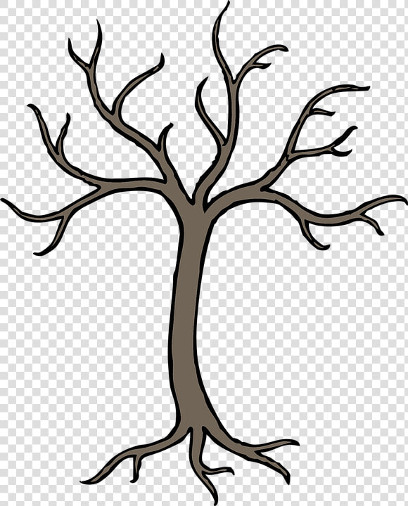 Tree Trunk Clipart Outline Clipart Transparent Free   Cartoon Tree Branch Drawing  HD Png DownloadTransparent PNG