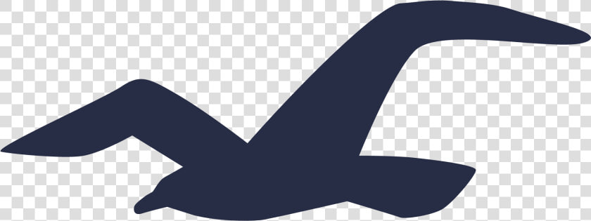 Hollister Logo Bird  HD Png DownloadTransparent PNG