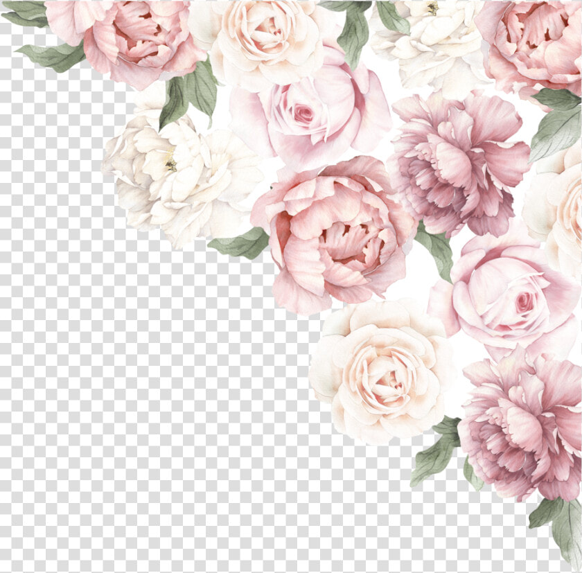 Peony Flower Peony Corner  HD Png DownloadTransparent PNG