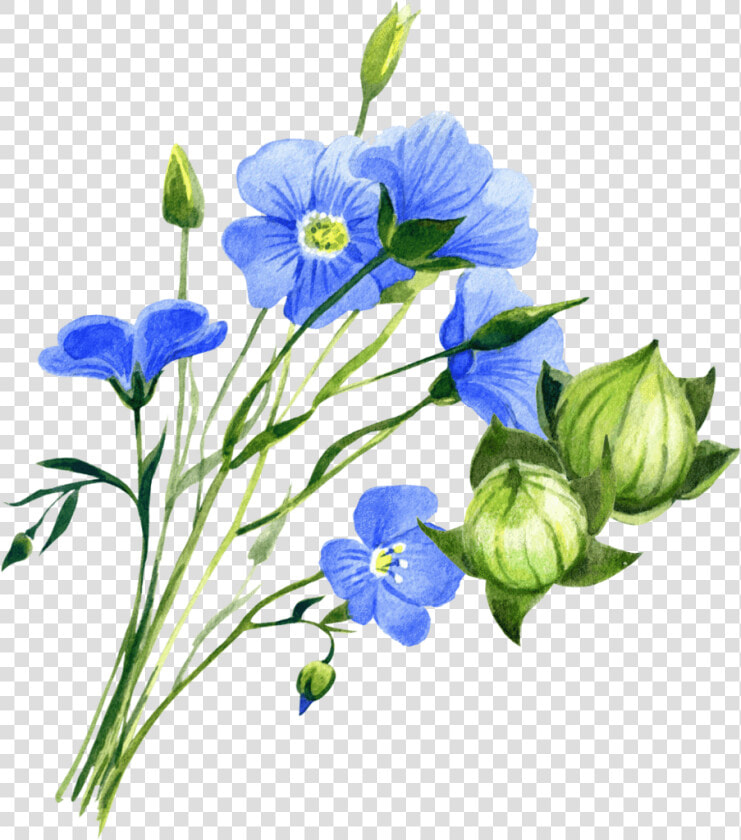 Flax Plant Png  Transparent PngTransparent PNG